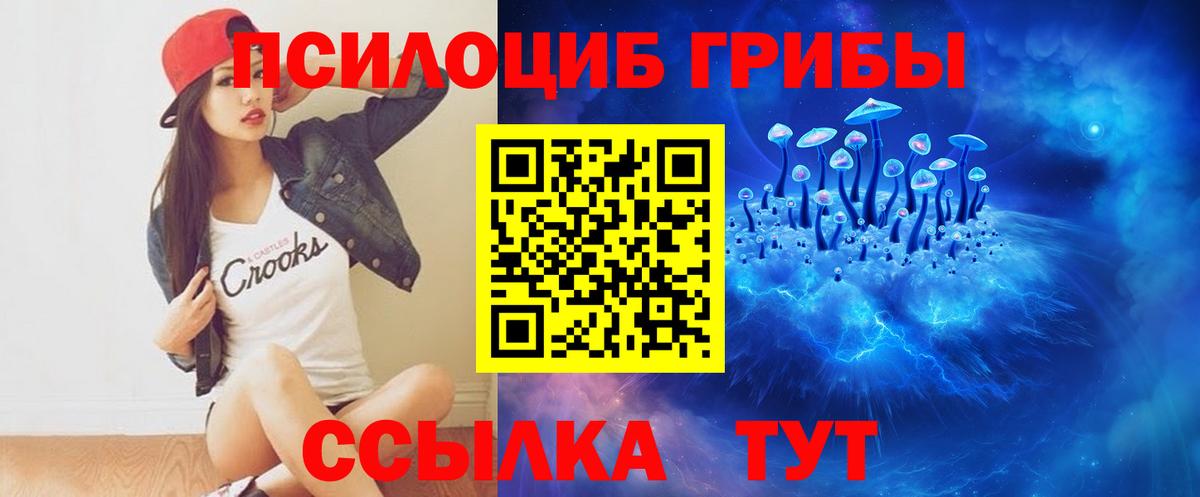 Галлюциногенные грибы мухоморы Нижнеудинск